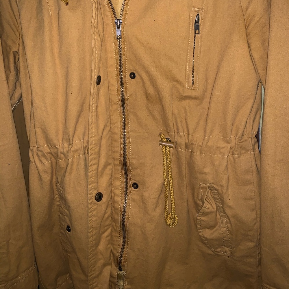 yellow jacket - Picture 2 of 3